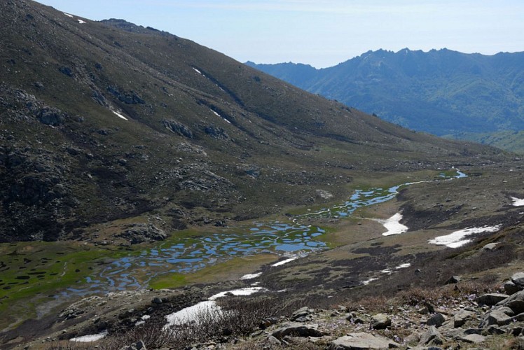 Corse- Région Bastelica/Val d'Ese- Punta Scaldasole- Pozzi [mai 2011]