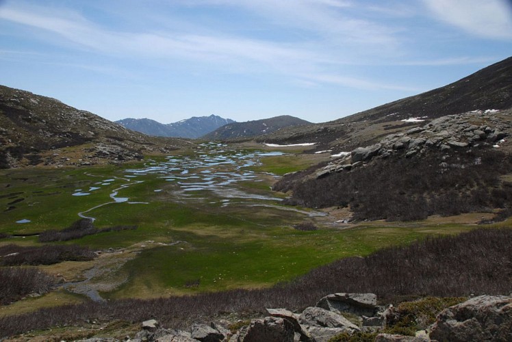 Corse- Région Bastelica/Val d'Ese- Punta Scaldasole- Pozzi [mai 2011]