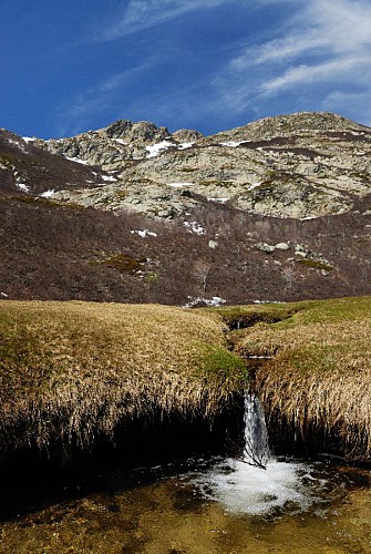 Corse- Région Bastelica/Val d'Ese- Punta Scaldasole- Pozzi [mai 2011]