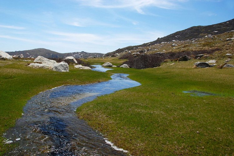 Corse- Région Bastelica/Val d'Ese- Punta Scaldasole- Pozzi [mai 2011]