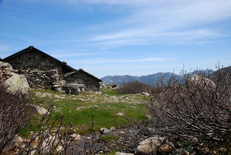 Corse- Région Bastelica/Val d'Ese- Punta Scaldasole- Pozzi [mai 2011]