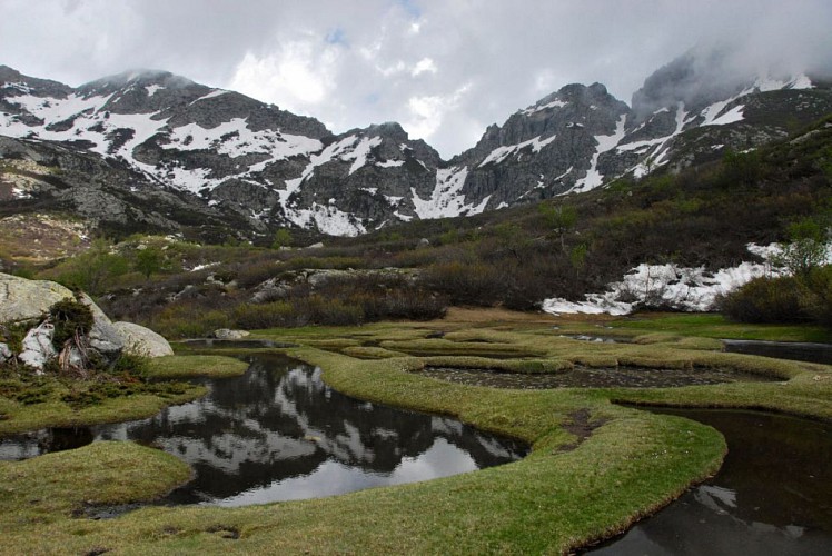 Corse- Région Bastelica- Pozzolo [mai 2009]