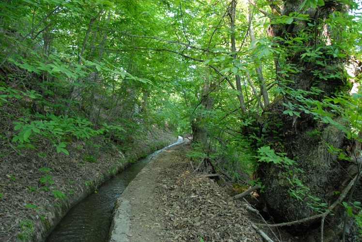 Corse- Région Bastelica- Pozzolo [mai 2009]