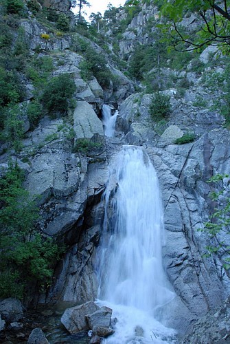 Corse- Région Bastelica- Pozzolo [mai 2009]