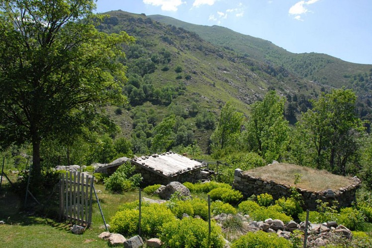 Corse- Région Bastelica- Pozzolo [mai 2009]