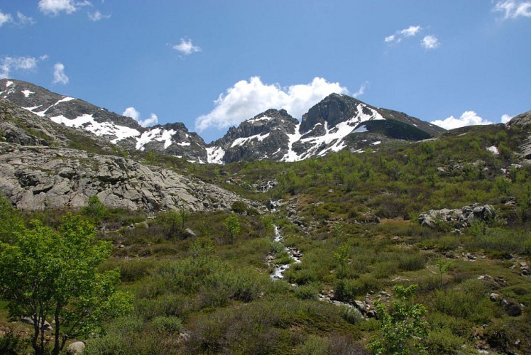 Corse- Région Bastelica- Pozzolo [mai 2009]