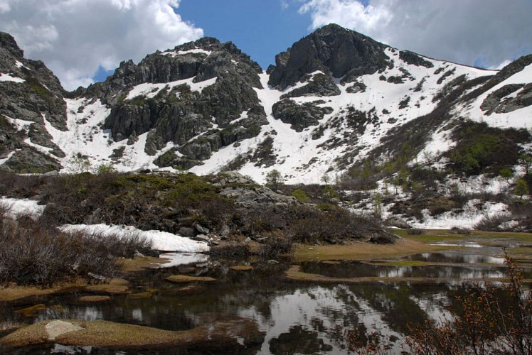 Corse- Région Bastelica- Pozzolo [mai 2009]