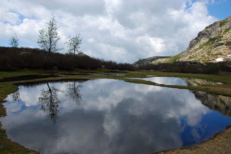 Corse- Région Bastelica- Pozzolo [mai 2009]