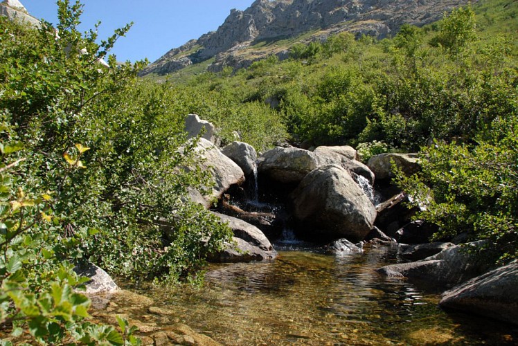 Corse- Région Bastelica- Lac de Vitalaca- Pozzi- Retour par Scaldalsole [août 2009]