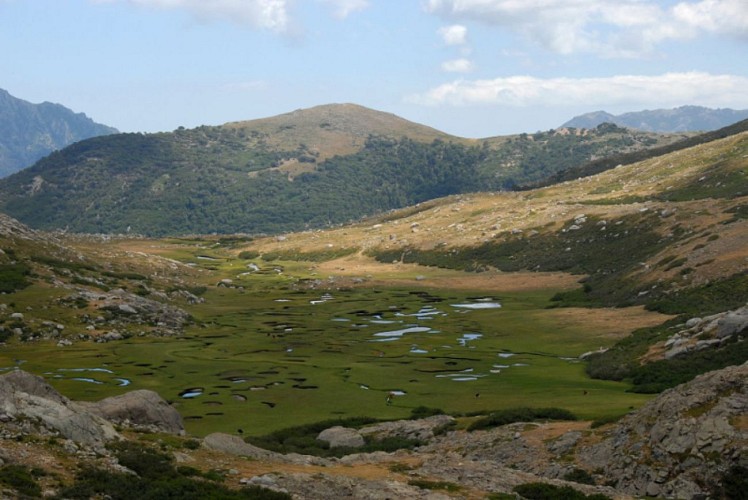 Corse- Région Bastelica- Lac de Vitalaca- Pozzi- Retour par Scaldalsole [août 2009]