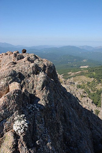 Corse- Région Bavella/Massif sud- Pta Velaco- Campanile- Trou de la Bombe [août 2011]