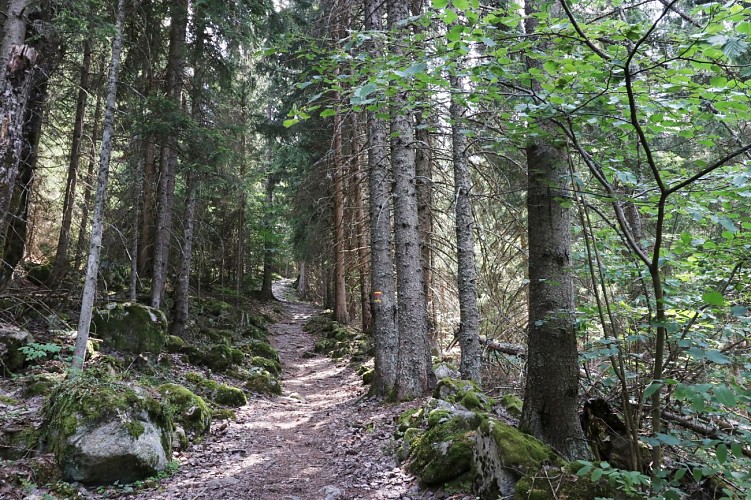 Sentier pédestre Oz-en-Oisans