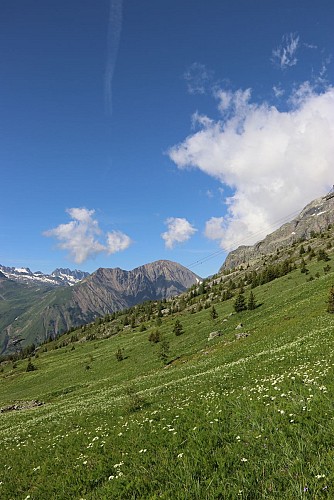 Montée de l'Alpette