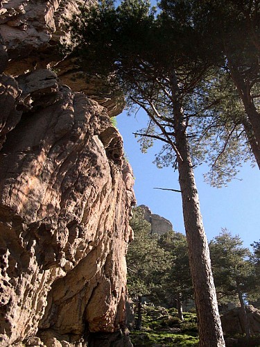 Corse- Région Bavella/massif nord- Refuge d'Assinau