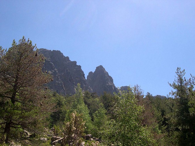 Corse- Région Bavella/massif nord- Refuge d'Assinau