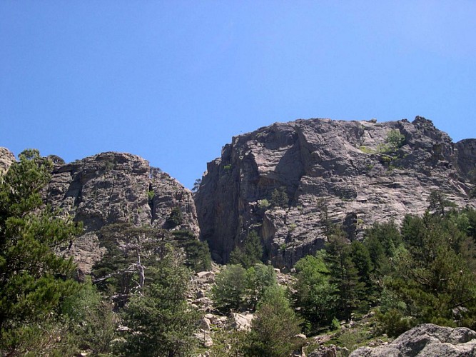 Corse- Région Bavella/massif nord- Refuge d'Assinau