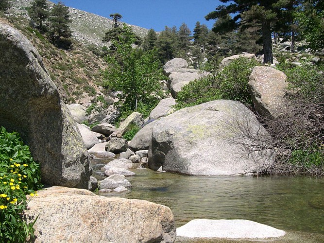 Corse- Région Bavella/massif nord- Refuge d'Assinau