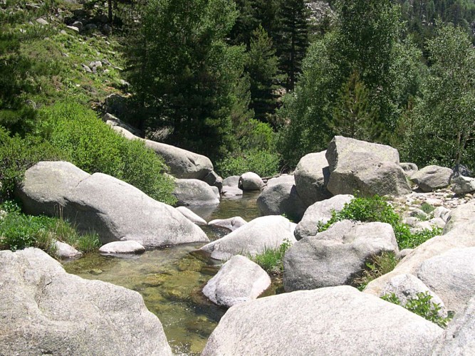 Corse- Région Bavella/massif nord- Refuge d'Assinau