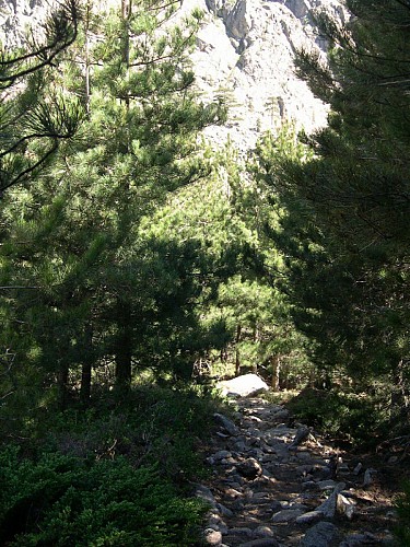 Corse- Région Bavella/massif nord- Refuge d'Assinau