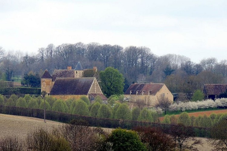 Nobles logis (Préaux-du-Perche)