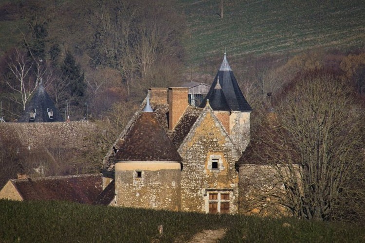 Manoir de la Lubinière