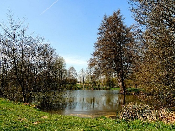Parc nature