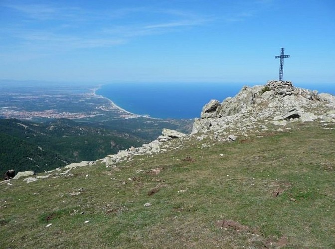 Von Collioure zum « Pic de Sailfort »