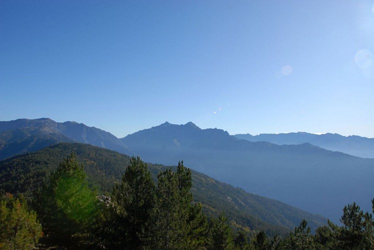 Corse- Région Cinarca- Monte Tretore voie directe [octobre 2009]