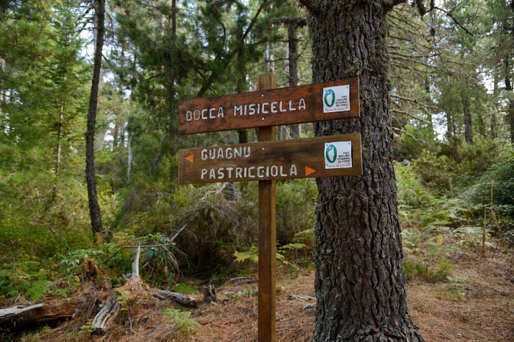 Corse- Région Cinarca- Capo Grosso [septembre 2015]