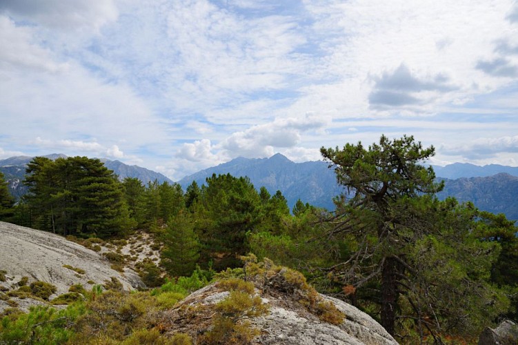 Corse- Région Cinarca- Capo Grosso [septembre 2015]
