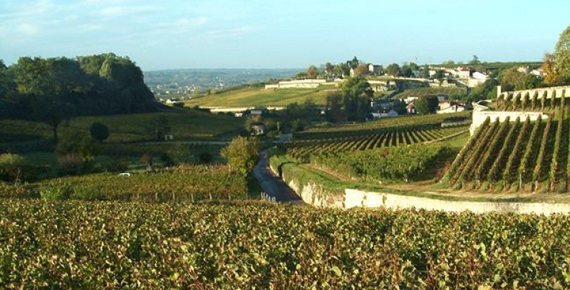 vignoble saint emilion