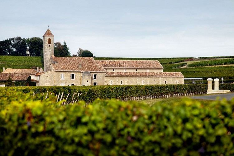 CHURCH NEW VATROOM 2