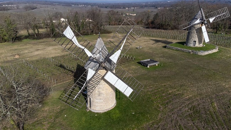 51915197541_faa3ef3efb_c