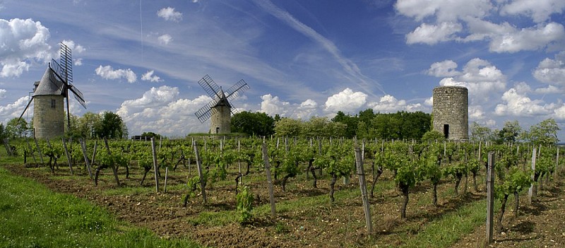 moulins calon