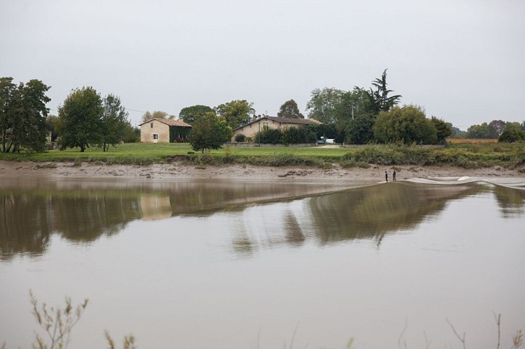 Mascaret BD © Guillaume Le Baube