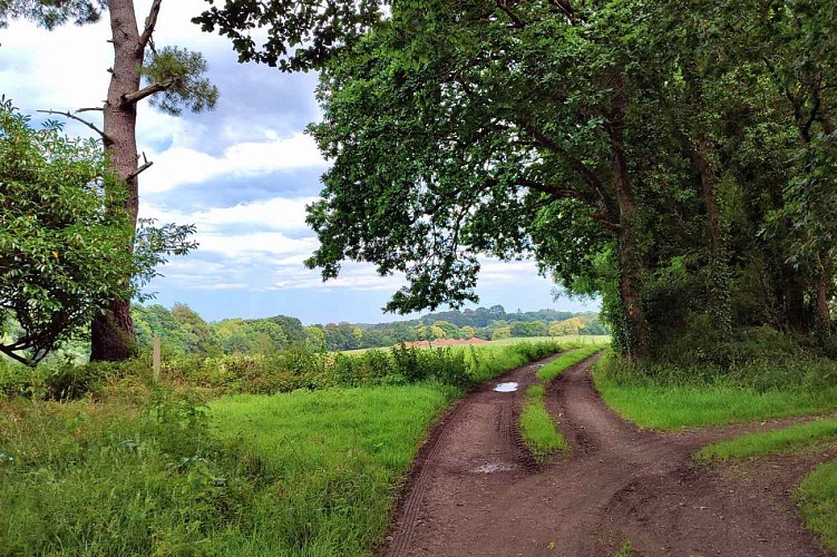 Chemin en campagne