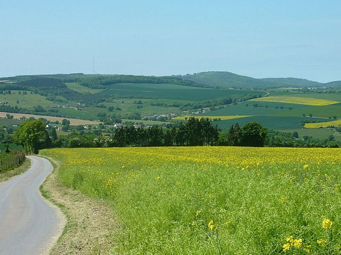 Petites routes en Suisse-Normande