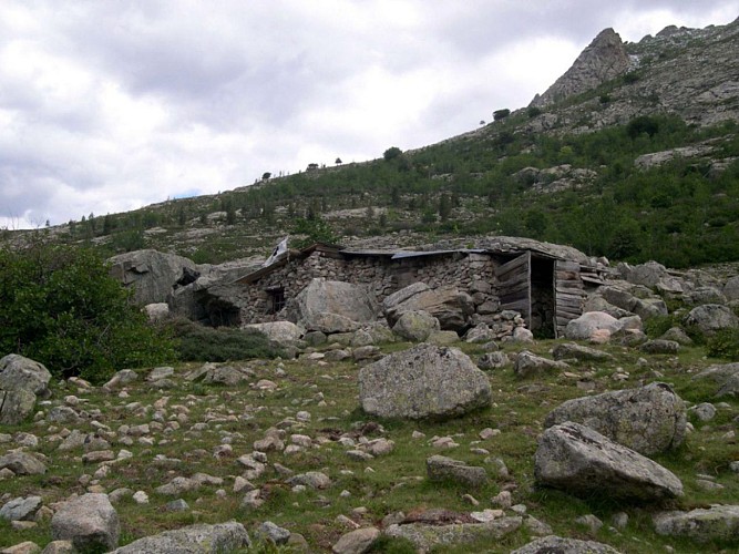 Corse- Région Cortenais- Haut Tavignano- Berg.  Ghjalichellu- Pianu di Campotile [juin 2006]