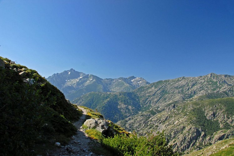 Corse- Région Cortenais/Massif Rotondo-Lac de Betaniella [Neige- Juillet 2010]