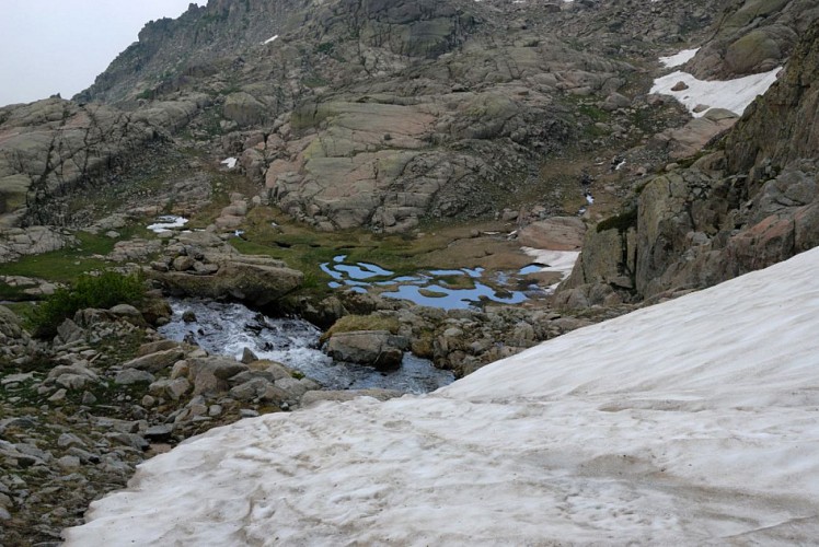 Corse- Région Cortenais/Massif Rotondo-Lac de Betaniella [Neige- Juillet 2010]