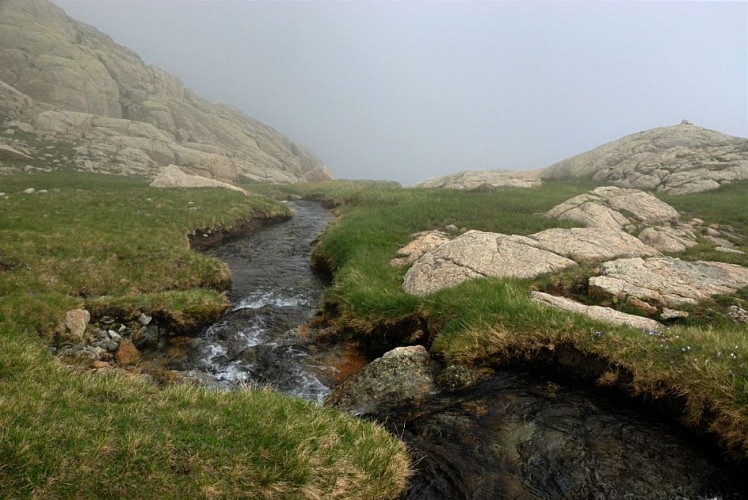Corse- Région Cortenais/Massif Rotondo-Lac de Betaniella [Neige- Juillet 2010]