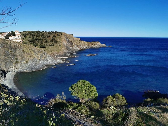 (E12 Sentier Littoral) Argelès - Cerbère