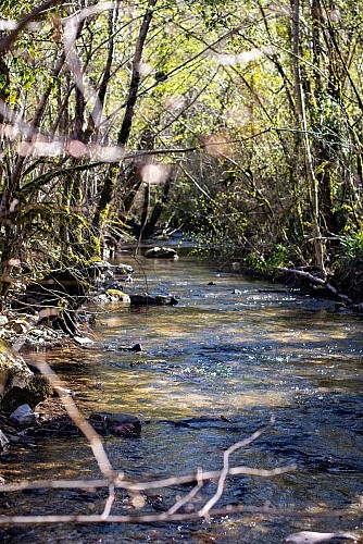 PR1 Verfeil-sur-Seye : Chemin de la Baye