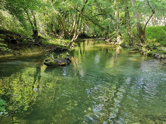 PR1 Verfeil-sur-Seye : Chemin de la Baye