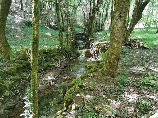 PR1 Verfeil-sur-Seye : Chemin de la Baye