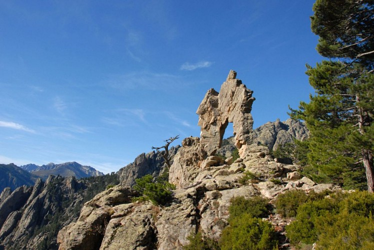 Corse- Région Cortenais- Arche de Padule et forêt de Forca [octobre 2009]
