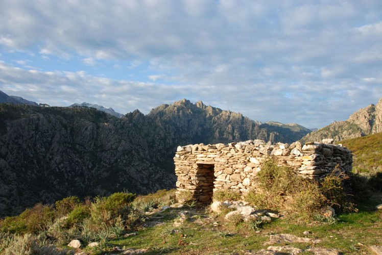Corse- Région Cortenais- Arche de Padule et forêt de Forca [octobre 2009]