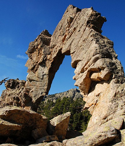 Corse- Région Cortenais- Arche de Padule et forêt de Forca [octobre 2009]