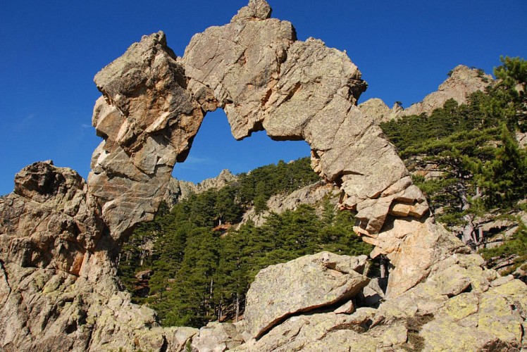Corse- Région Cortenais- Arche de Padule et forêt de Forca [octobre 2009]