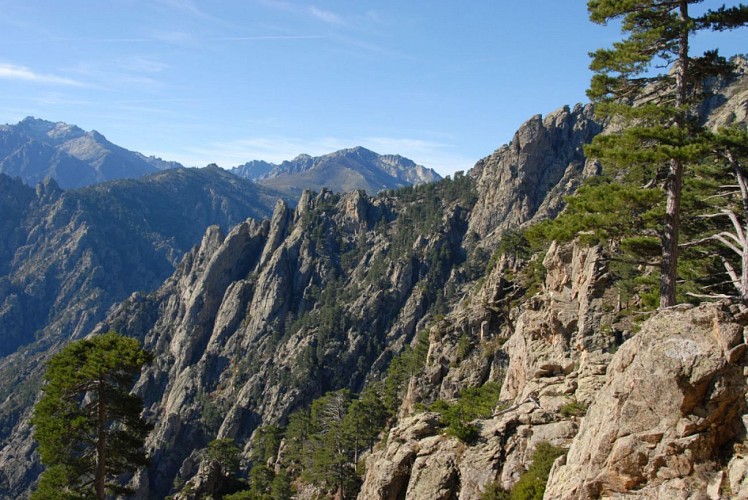 Corse- Région Cortenais- Arche de Padule et forêt de Forca [octobre 2009]